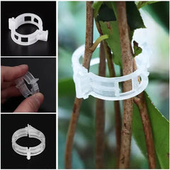 Plant Support Clips