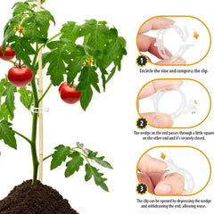 Plant Support Clips